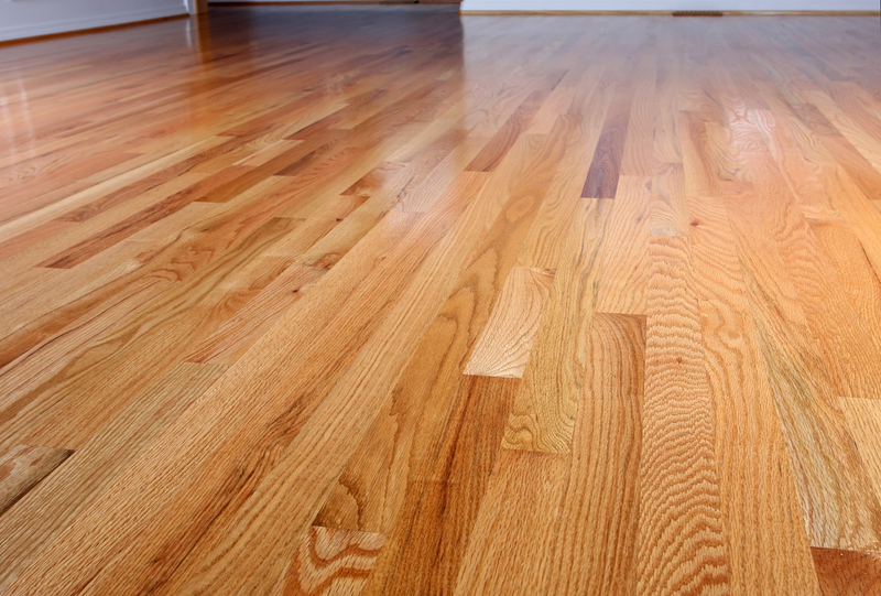 Green Tips for Carpet Cleaning Without Water