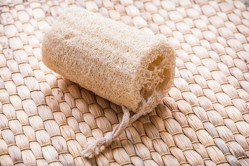 Practical Tips for Maintaining Clean and Pristine Window Screens