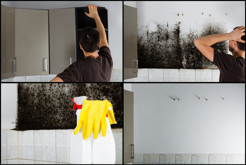 Practical Tips for Maintaining Clean and Pristine Window Screens