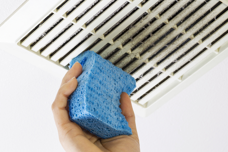 Timing for Professional Carpet Cleaning
